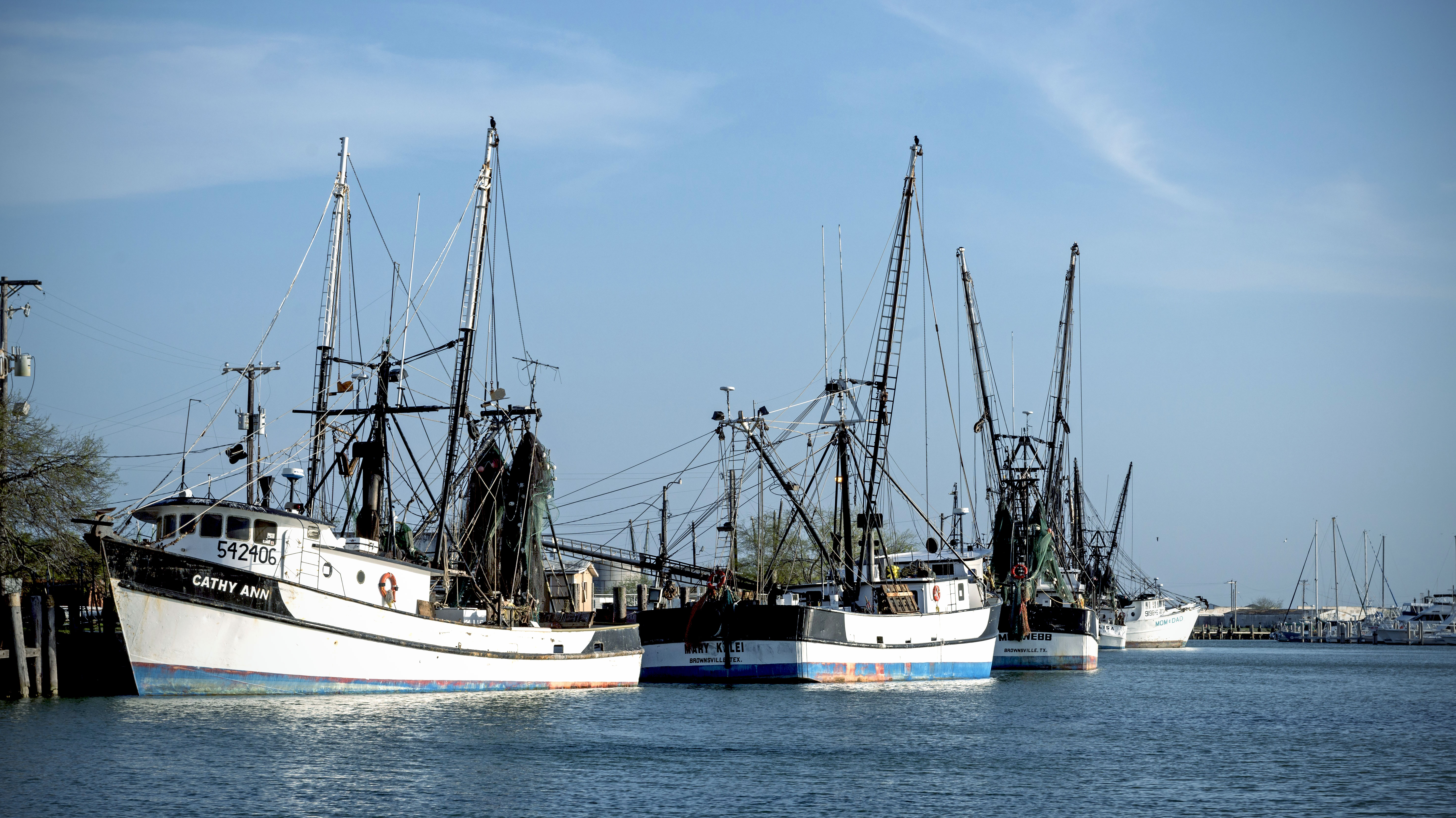 ICYMI: Wicker Bills to Improve Flood Forecasting, Fishery Relief Pass Senate